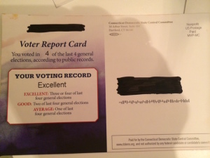 Dem Voter Report Card