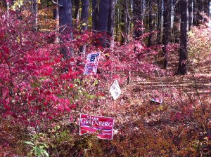 Signs in New Milford Woods